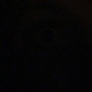 Meet your Posher, Frank